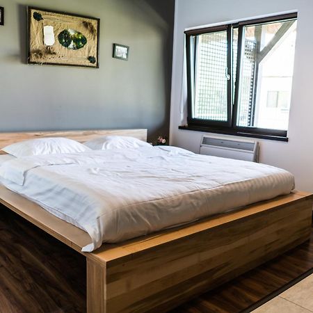 מלון Dunavăţu de Jos Casa Patru Anotimpuri מראה חיצוני תמונה