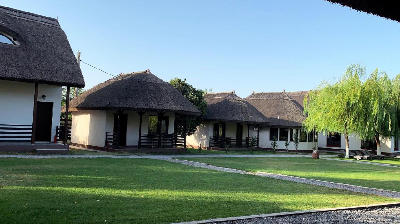 מלון Dunavăţu de Jos Casa Patru Anotimpuri מראה חיצוני תמונה